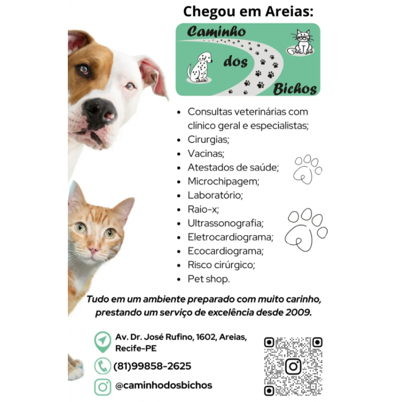 Pet feliz 3
